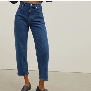 Everlane The Way-High Jean